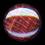 snakewood
